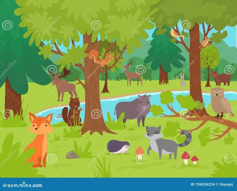 Qué animalitos del bosque son ideales para una nena 2 animales del bosque jugando en la naturaleza