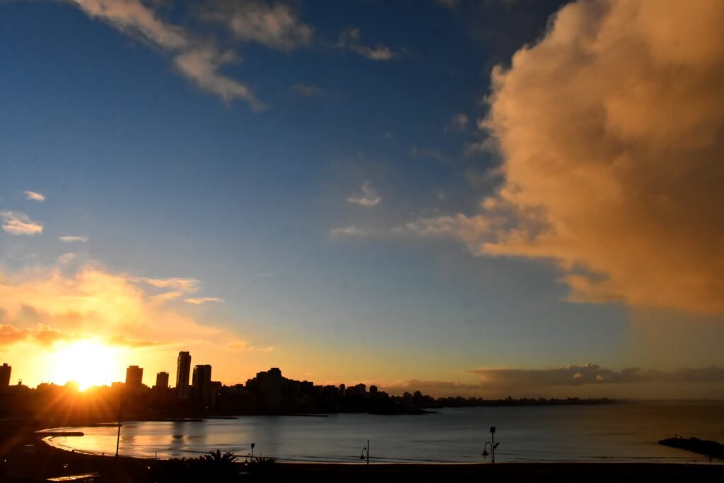 Cuál es el mejor valor por mayor en Mar del Plata