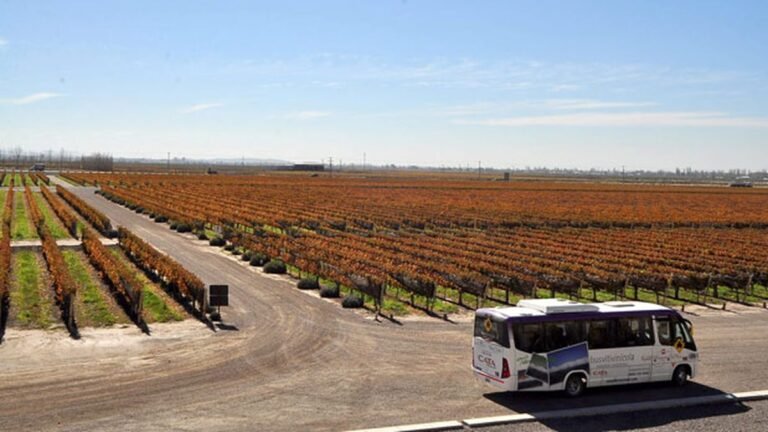 autobus turistico en las vinas de mendoza