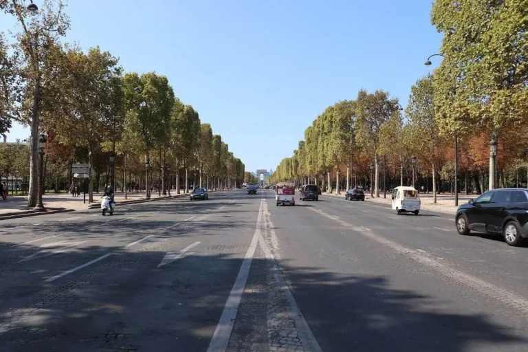 avenida larga con arboles y edificios