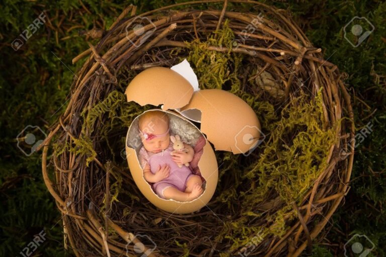 bebe durmiendo en un huevito acogedor