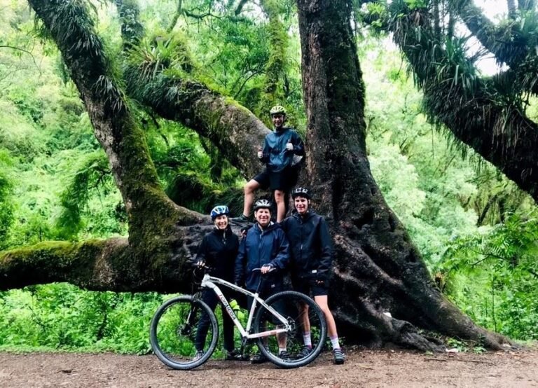 bicicleta top mega en paisaje natural