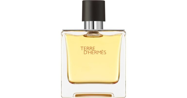 Qué características hacen único al perfume Terre de Hermès 22 botella de perfume terre de hermes elegante