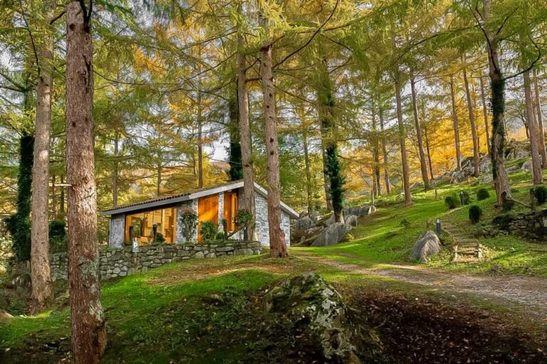 cabanas rodeadas de naturaleza en sierra