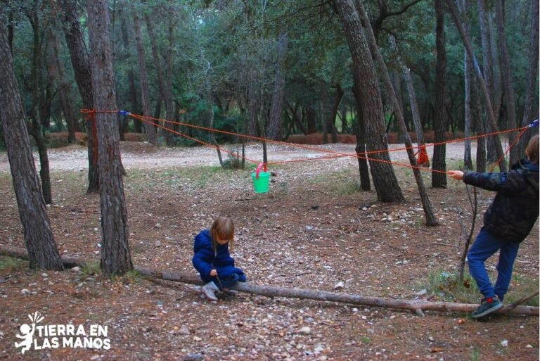 Qué servicios ofrece Las Hojas Club de Campo en Argentina 21 campo con arboles y actividades recreativas