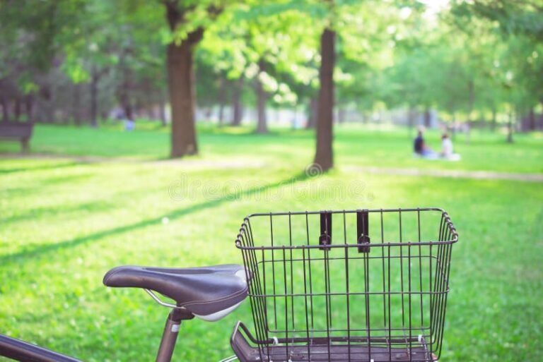 carrito de bicicleta en un parque soleado