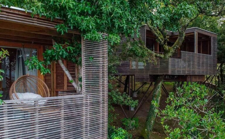 Cómo construir casas en el árbol para niños de forma fácil 25 casa en el arbol rodeada de naturaleza