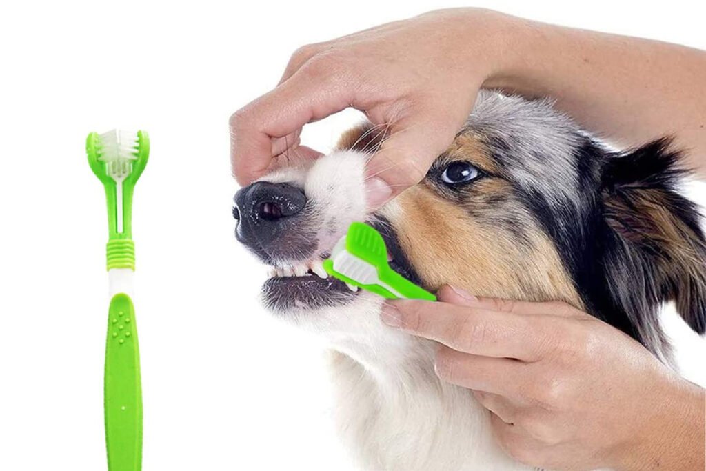 Con qué cepillo debo cepillar los dientes de mi perro