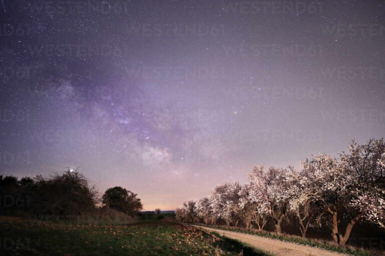 Cómo puedo poner el cielo a trabajar en mi vida diaria 18 cielo estrellado sobre un paisaje sereno