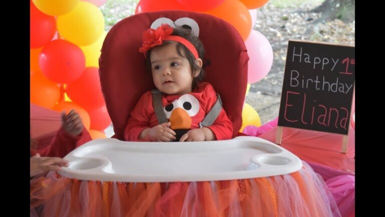 cochecito de bebe con tul decorativo