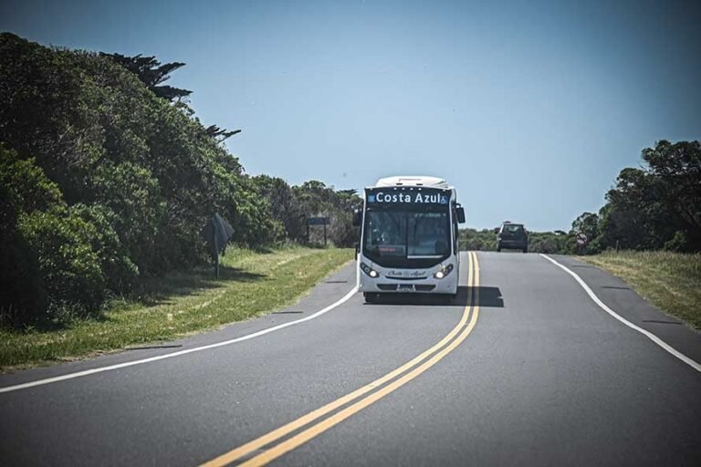 Cuáles son los horarios de los colectivos de San Juan a Mar del Plata 9 colectivo en ruta hacia mar del plata