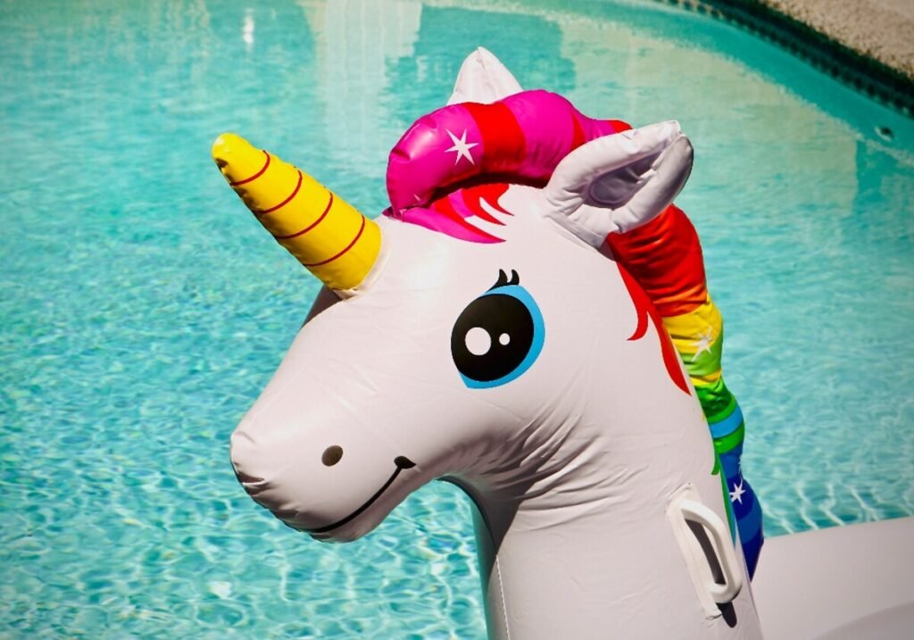 Dónde comprar una flota flota para piletas en Argentina 3 Dónde comprar una flota flota para piletas en Argentina