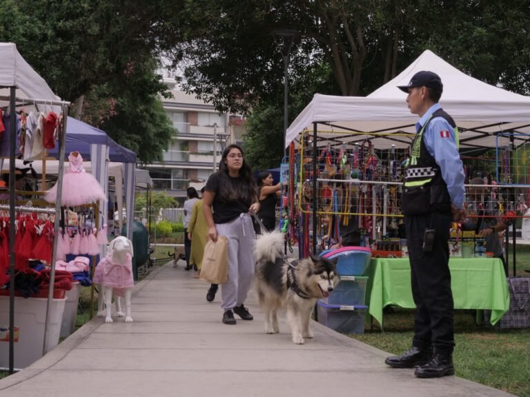 consulta veterinaria en un parque con mascotas