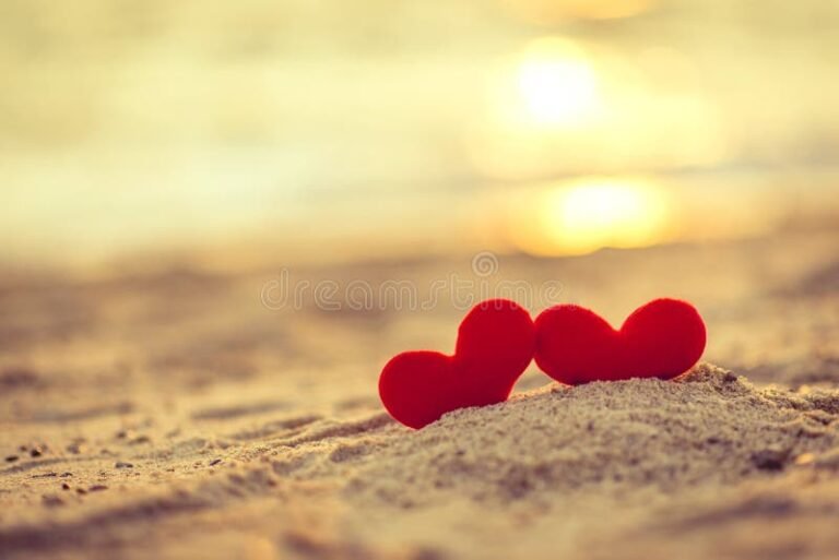 Es el amor una ilusión o una realidad en nuestras vidas 28 corazones entrelazados en un paisaje romantico