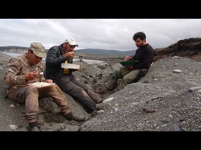 Es legal utilizar un detector de metales en Argentina y cuáles son las normas 8 Es legal utilizar un detector de metales en Argentina y cuáles son las normas