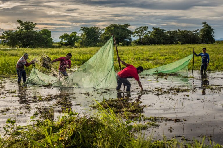 Cómo armar correctamente un reel de pesca para principiantes 26 equipo de pesca en un entorno natural