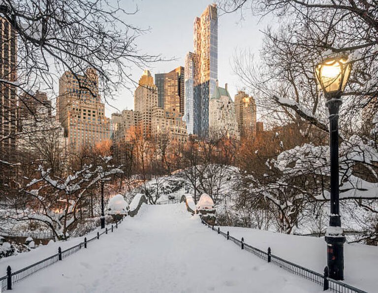 escena iconica de nueva york en invierno