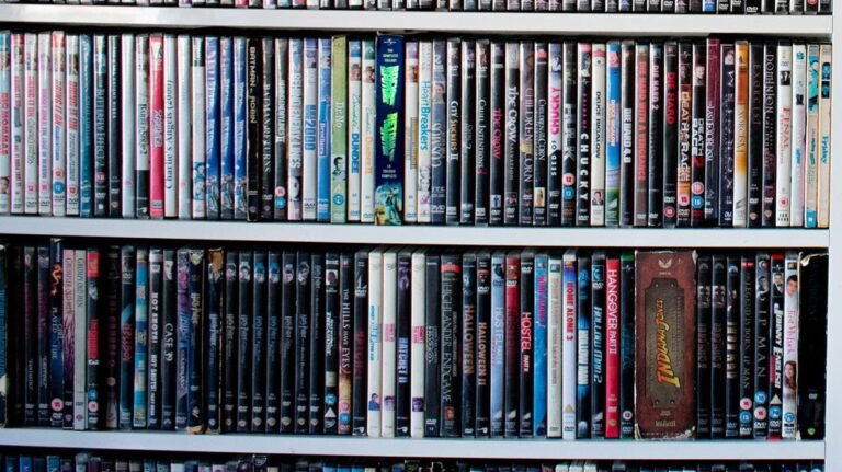 estante de dvds con titulos variados