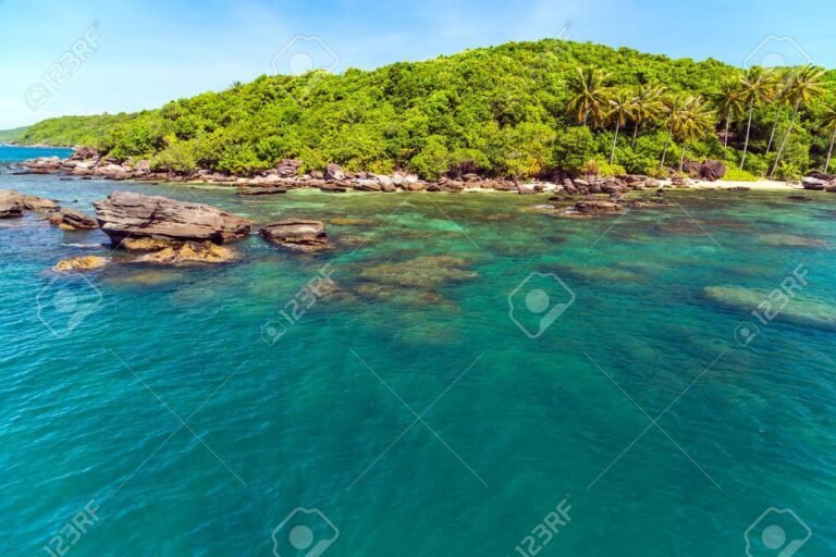 isla tropical con jungla y oceano