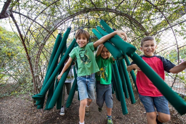 jardin infantil con ninos jugando al aire libre 1