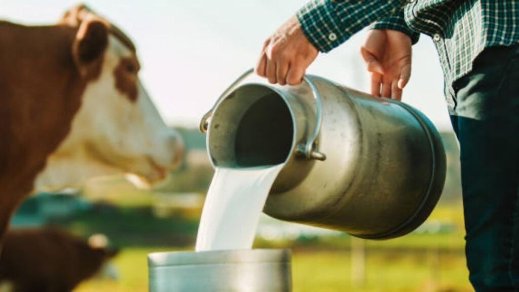 Qué beneficios y usos tiene la leche de soja en Argentina
