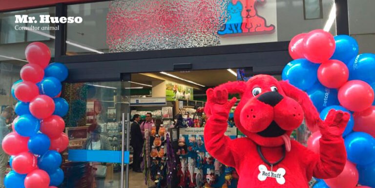 mascotas felices en una tienda colorida
