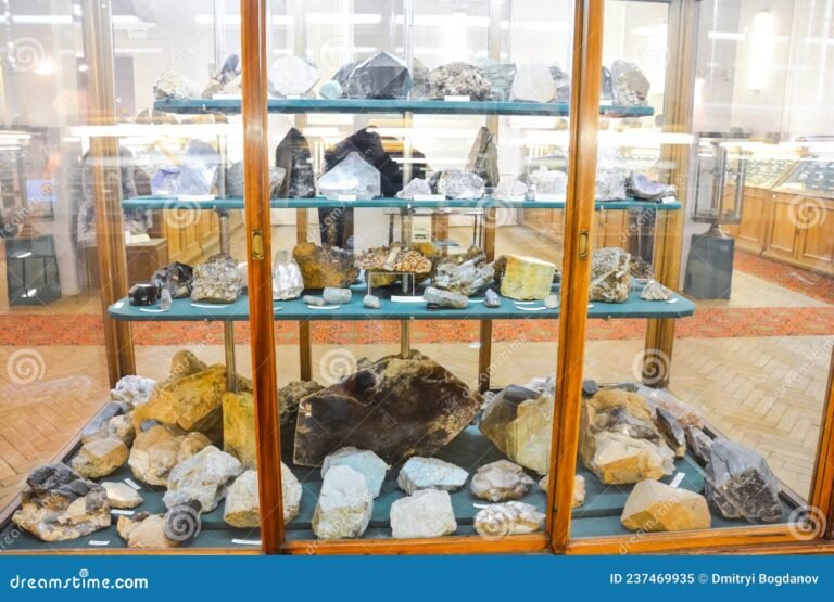 Qué incluye la colección de minerales de La Nación y cómo acceder a ella 7 minerales en exhibicion en un museo
