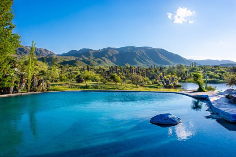 naturaleza exuberante en camping argentino