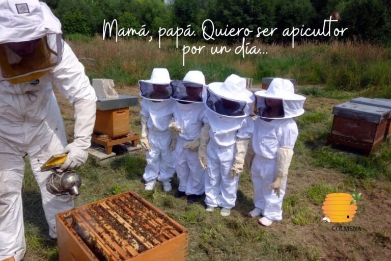 De qué manera podemos enseñar a los niños sobre el mundo de las abejas 9 nino observando colmena de abejas