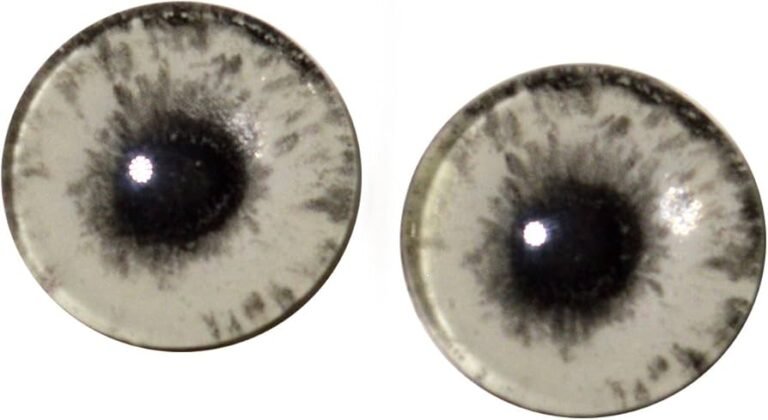 Qué simbolizan los ojos de plata en la literatura y el arte 12 ojos de plata brillando en la oscuridad