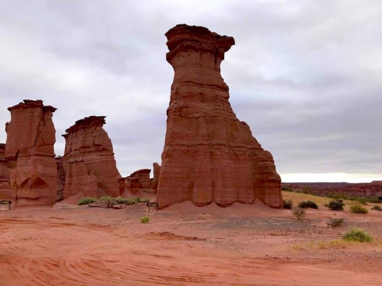 paisaje del central oeste argentino