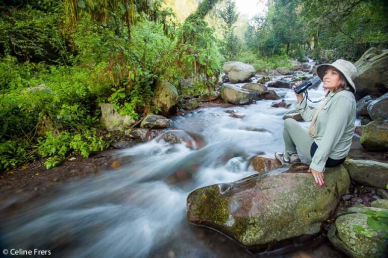 Qué actividades recomendadas hay para hacer en San Lorenzo, Salta 29 paisaje montanoso de san lorenzo salta