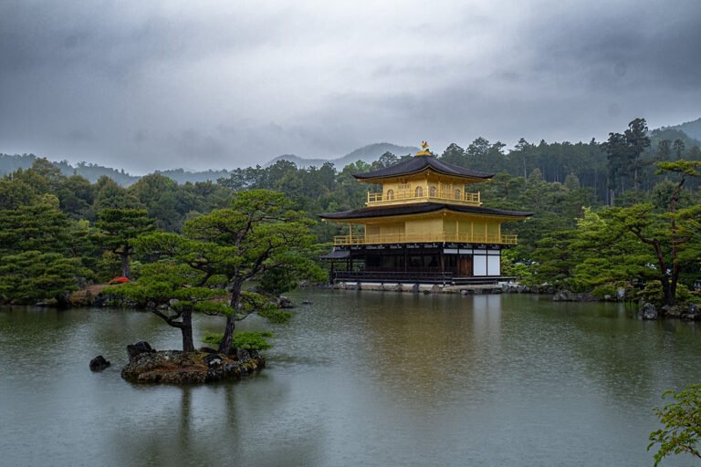 pan dorado en un entorno magico