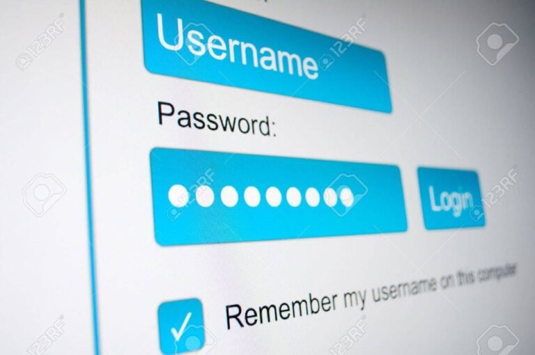 Cómo iniciar sesión en el portal de clientes mayoristas de Ferniplast 21 pantalla de inicio de sesion en linea