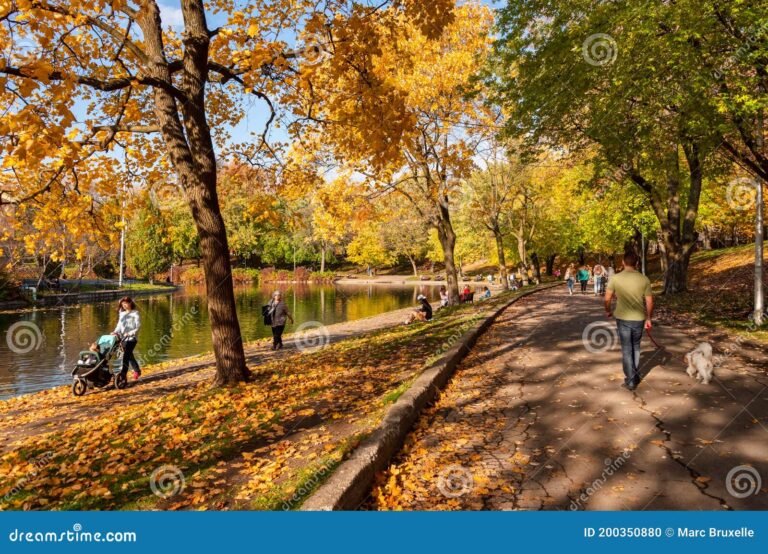 parque con arboles y gente disfrutando