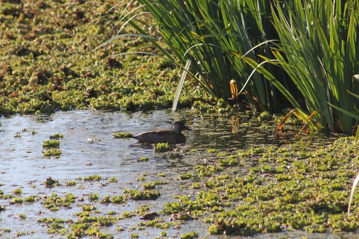 Qué lugares de interés y actividades se pueden disfrutar en Las Lomas de San Isidro 7 Qué lugares de interés y actividades se pueden disfrutar en Las Lomas de San Isidro