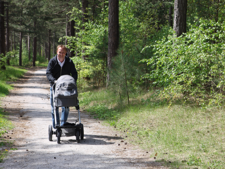 Es el Baby Jogger City Mini la mejor opción para pasear con mi bebé 10 paseo en parque con carrito de bebe