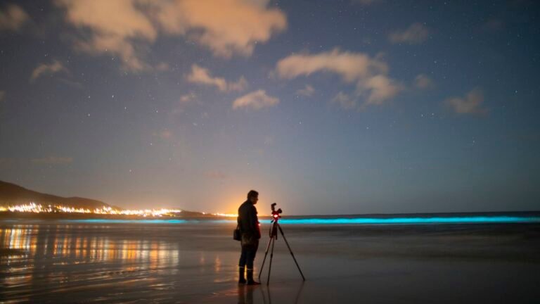 paseo por la playa en luz de mar