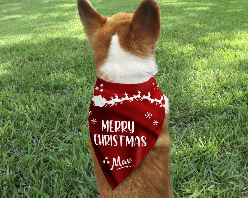 perrito feliz con panuelo navideno