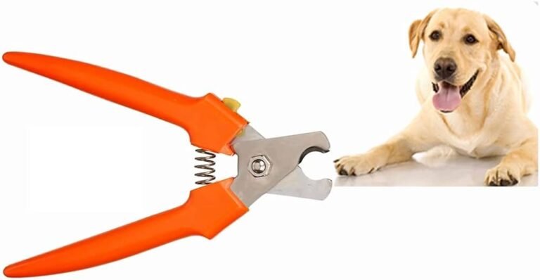 Cómo elegir el mejor corta uñas para perros grandes 22 perro grande con cortaunas en accion