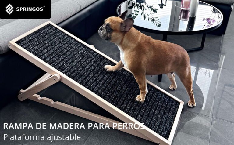 Cómo elegir la mejor rampa para perros para subir a la cama 1 perro subiendo por una rampa elegante
