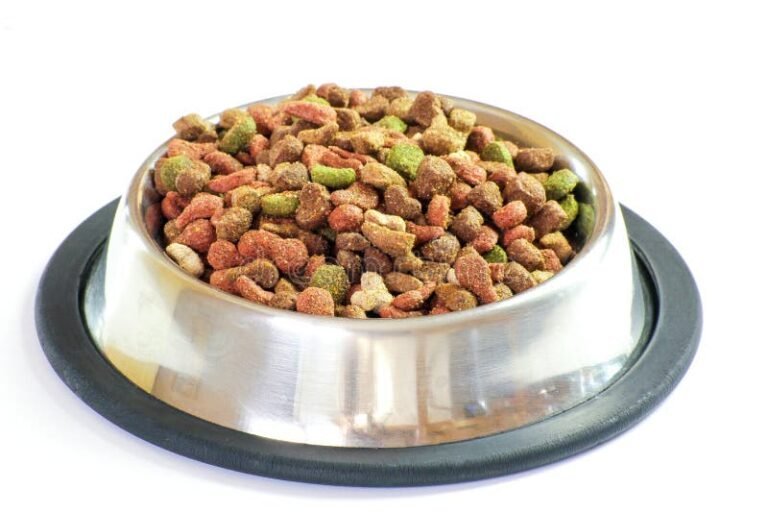 Qué alimentos son mejores para perros y gatos en su dieta 17 plato lleno de comida para mascotas