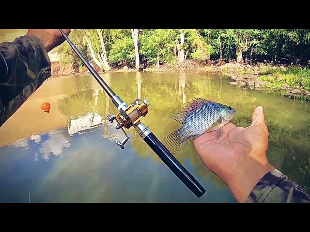 Qué ventajas ofrece una mini caña de pescar para principiantes