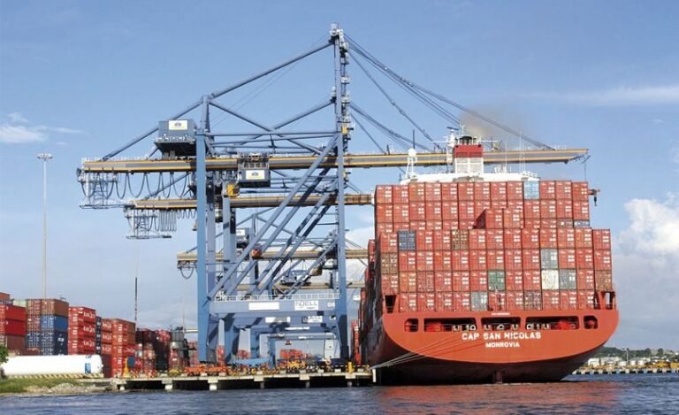 Cómo puedo convertirme en importador en Argentina fácilmente 25 puerto con contenedores de mercancias