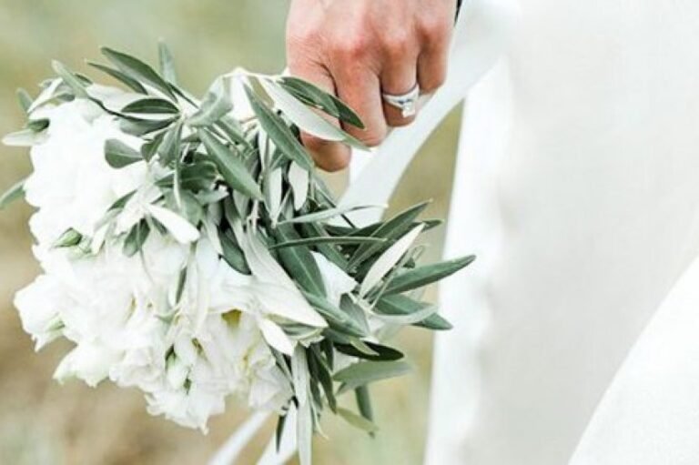 Qué significado tiene el nombre o apellido Petrina 6 rama de olivo con flores blancas