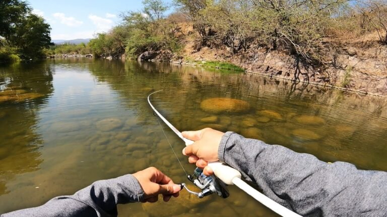 Cuál es el mejor reel para pescar dorados y surubíes 28 reel de pesca junto a un rio