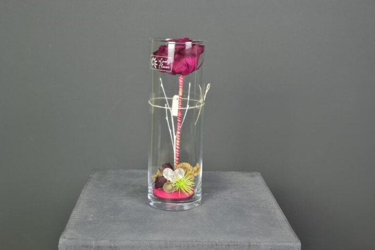 Qué características destacan en el perfume Boos Intense Rose 20 rosa intensa en un elegante frasco