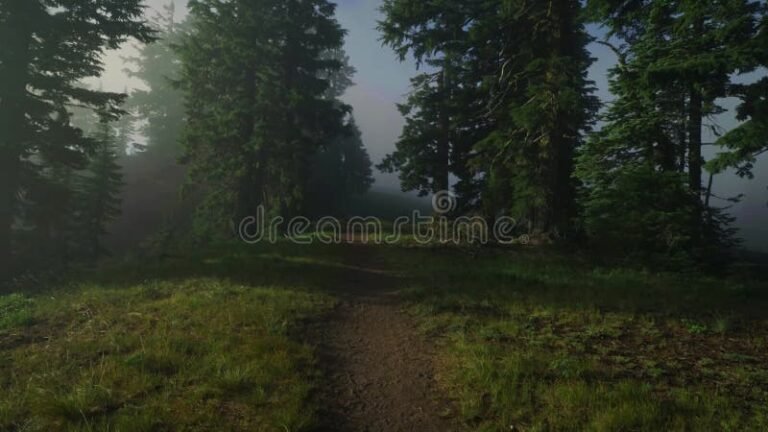 sombra misteriosa en un sendero oscuro