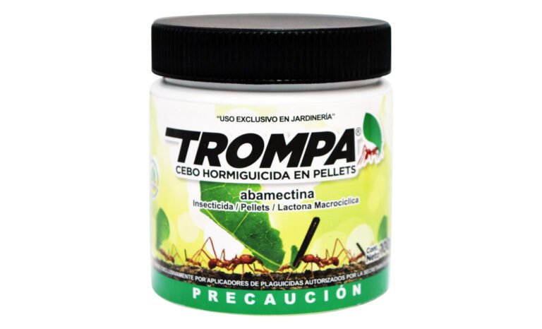 Cómo hacer cebo efectivo para eliminar hormigas negras en casa 28 tarro con cebo para hormigas en casa