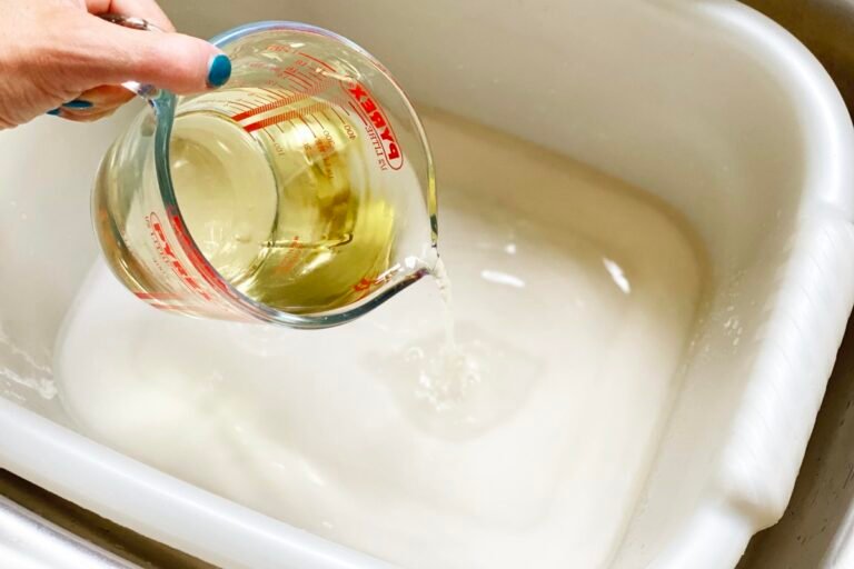 taza con agua y vinagre hirviendo